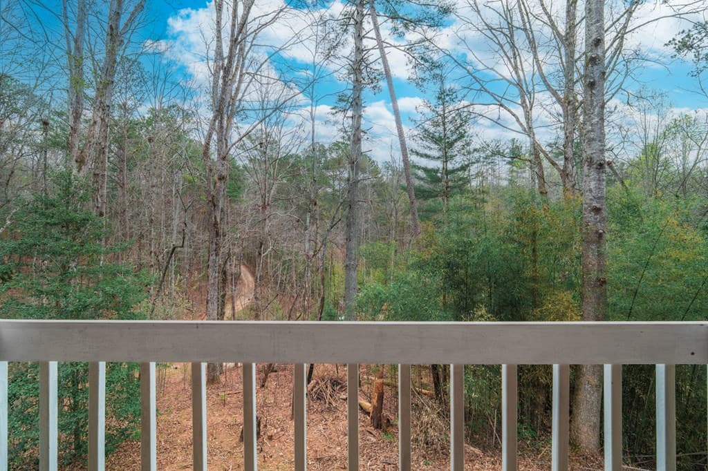 365 Quarles Lane, Ellijay GA 30540 - Photo
