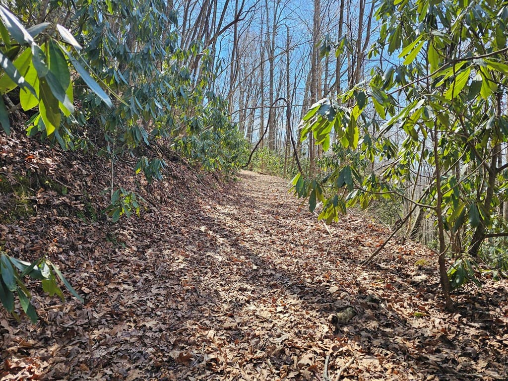 Lot 16 Warrior Way, Andrews NC 28901 - Photo