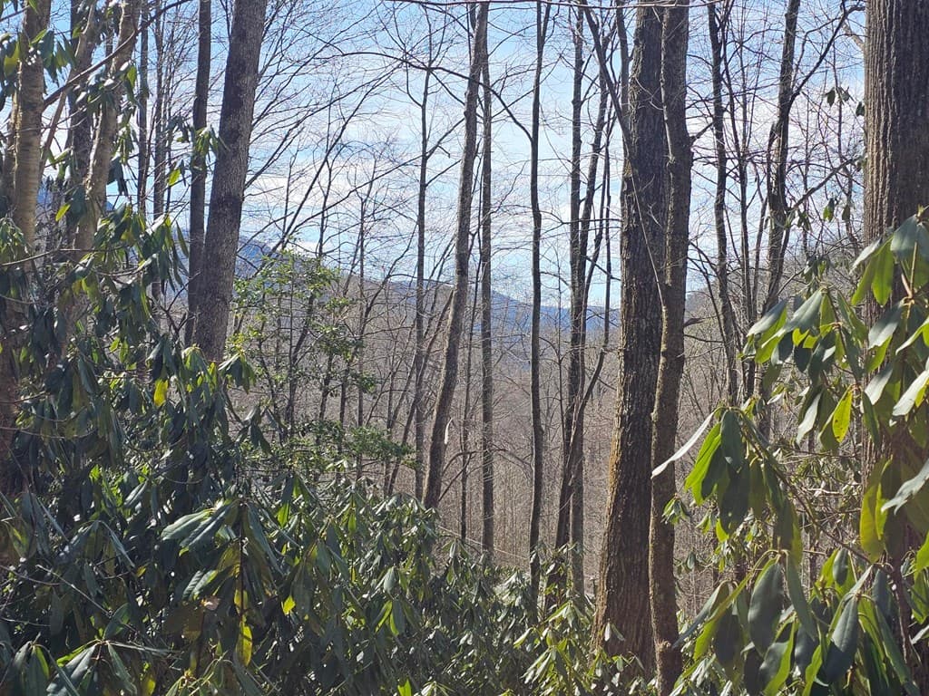 Lot 16 Warrior Way, Andrews NC 28901 - Photo