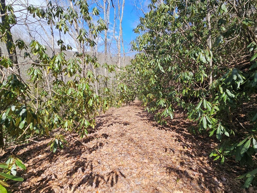 Lot 16 Warrior Way, Andrews NC 28901 - Photo