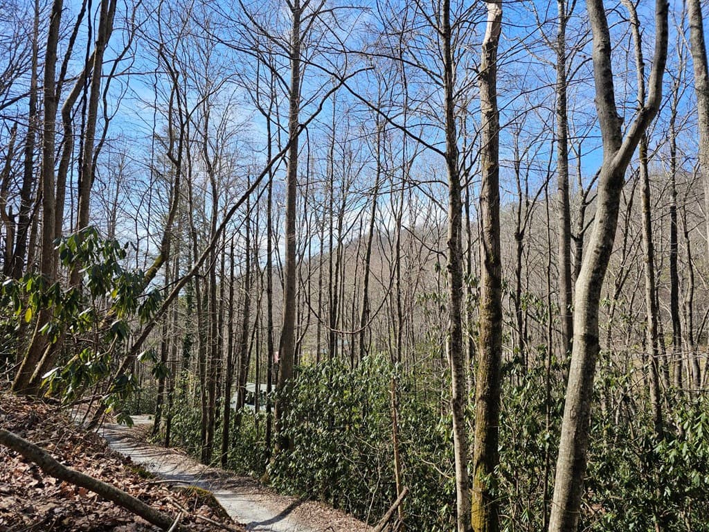 Lot 16 Warrior Way, Andrews NC 28901 - Photo