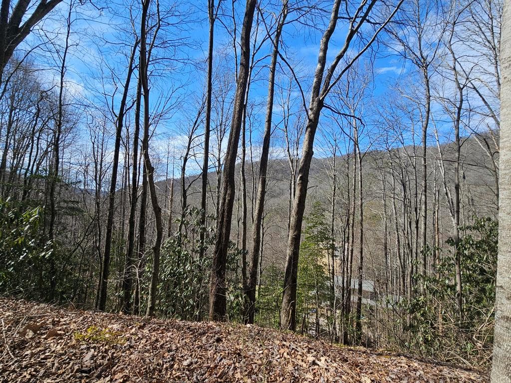 Lot 16 Warrior Way, Andrews NC 28901 - Primary photo