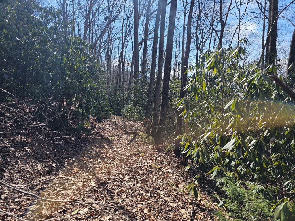 Lot 16 Warrior Way, Andrews NC 28901 - Photo