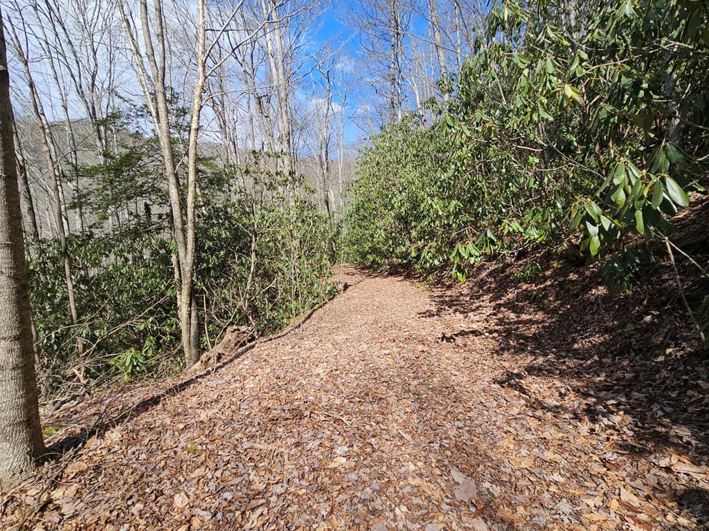 Lot 16 Warrior Way, Andrews NC 28901 - Photo