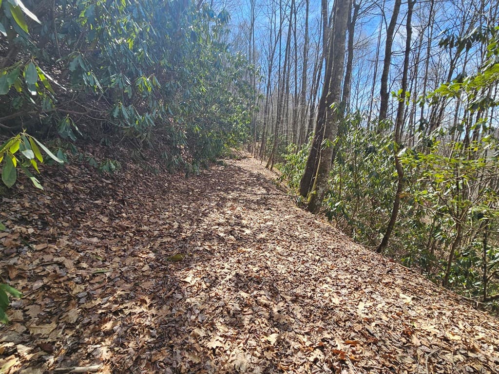 Lot 16 Warrior Way, Andrews NC 28901 - Photo