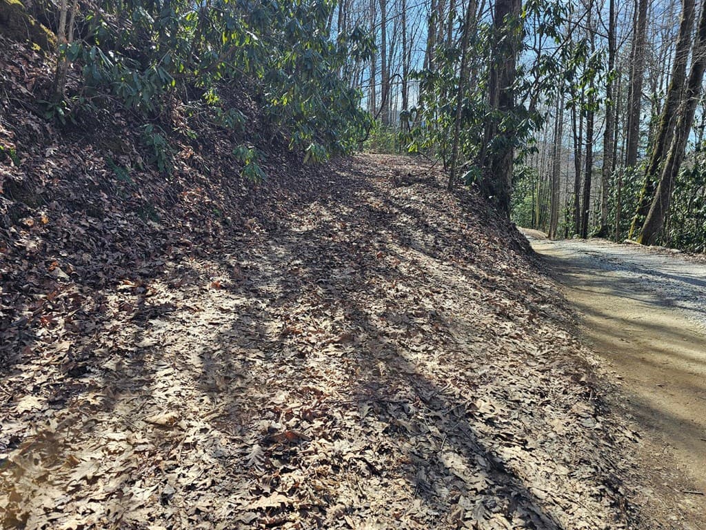 Lot 16 Warrior Way, Andrews NC 28901 - Photo