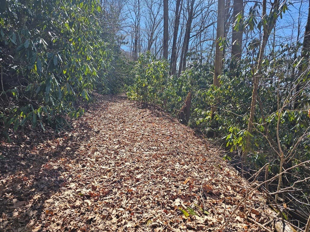Lot 16 Warrior Way, Andrews NC 28901 - Photo