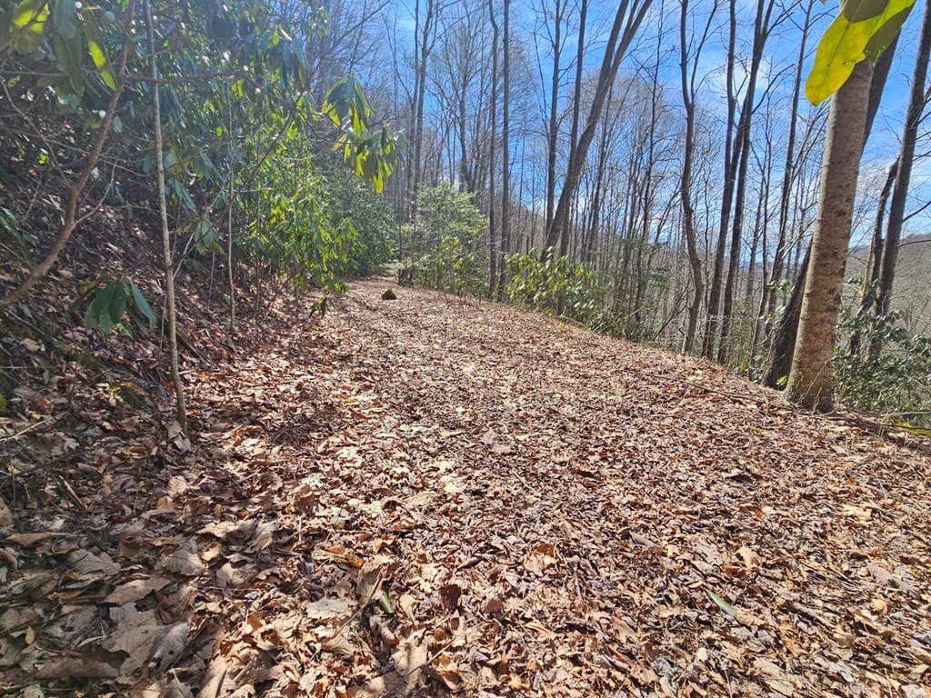 Lot 16 Warrior Way, Andrews NC 28901 - Photo