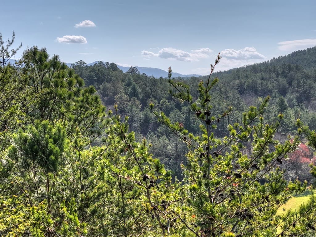 626 Brush Creek Road, Copperhill TN 37317 - Photo