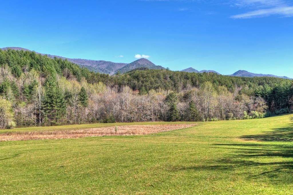 626 Brush Creek Road, Copperhill TN 37317 - Primary photo