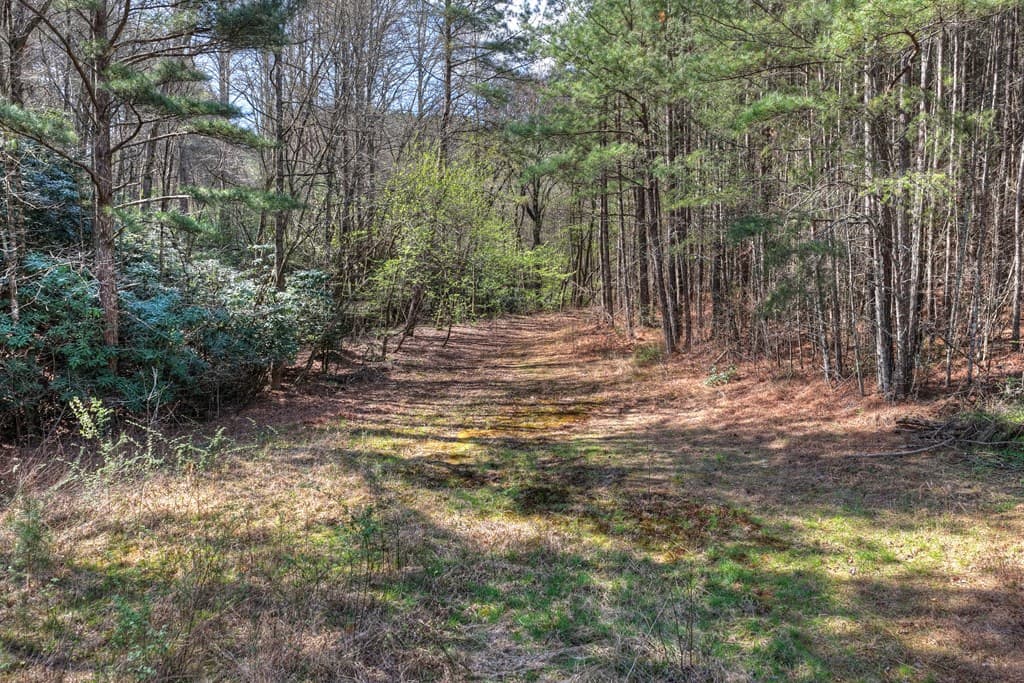 626 Brush Creek Road, Copperhill TN 37317 - Photo