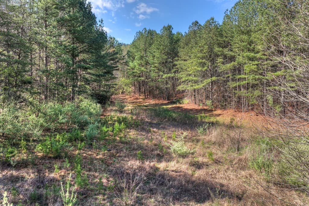 626 Brush Creek Road, Copperhill TN 37317 - Photo