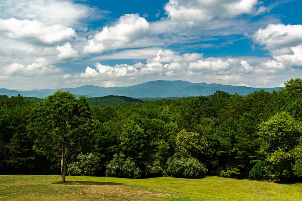 156 Pine View Lane, Copperhill TN 37317 - Photo