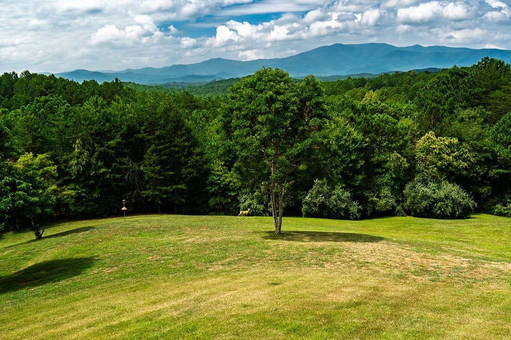 156 Pine View Lane, Copperhill TN 37317 - Photo