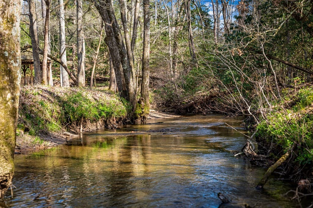 127 Twin Creeks Road, Blue Ridge GA 30541 - Photo