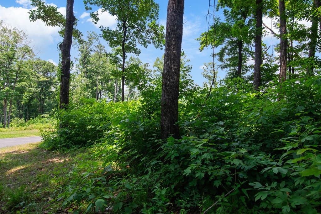 Lot 56 High Summit Drive, Talking Rock GA 30175 - Photo