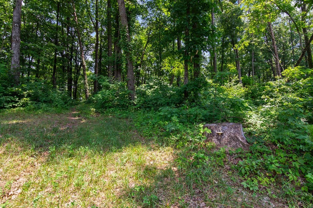 Lot 56 High Summit Drive, Talking Rock GA 30175 - Photo