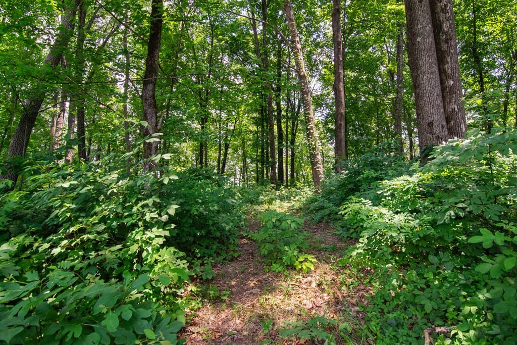 Lot 56 High Summit Drive, Talking Rock GA 30175 - Photo
