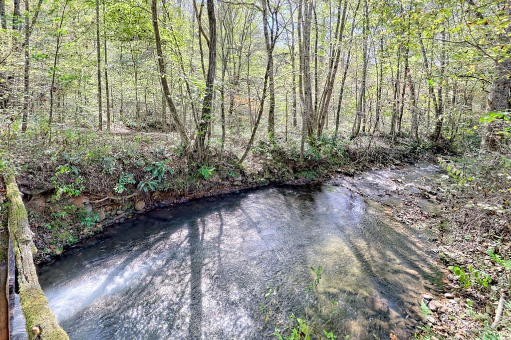 1064 Muskrat Creek Road, Hayesville NC 28904 - Photo