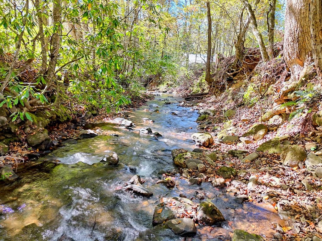 1064 Muskrat Creek Road, Hayesville NC 28904 - Photo