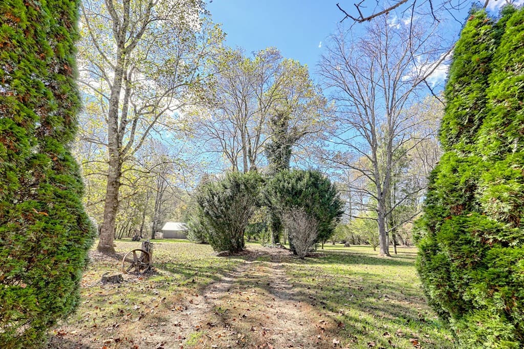 1064 Muskrat Creek Road, Hayesville NC 28904 - Photo