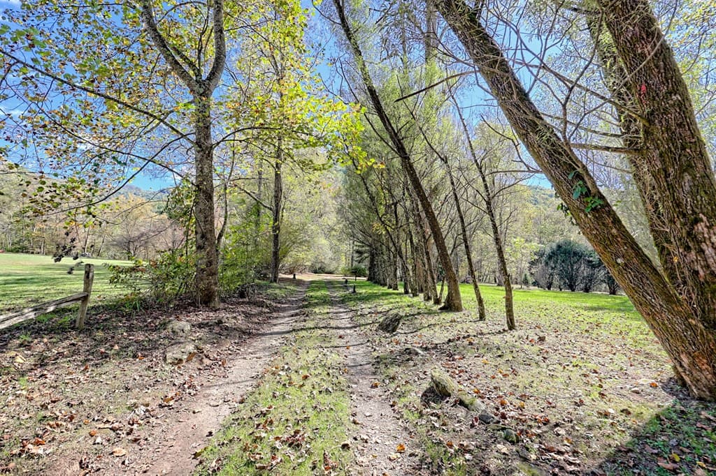 1064 Muskrat Creek Road, Hayesville NC 28904 - Photo