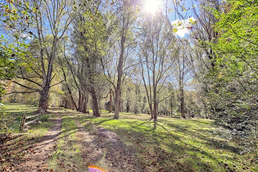 1064 Muskrat Creek Road, Hayesville NC 28904 - Photo