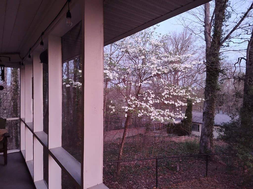 1528 Hillcrest Spur, Hiawassee GA 30546 - Photo