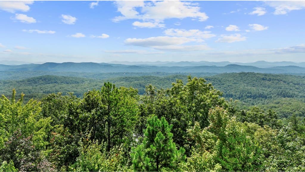 279 Rising Star Lane, Mineral Bluff GA 30559 - Photo