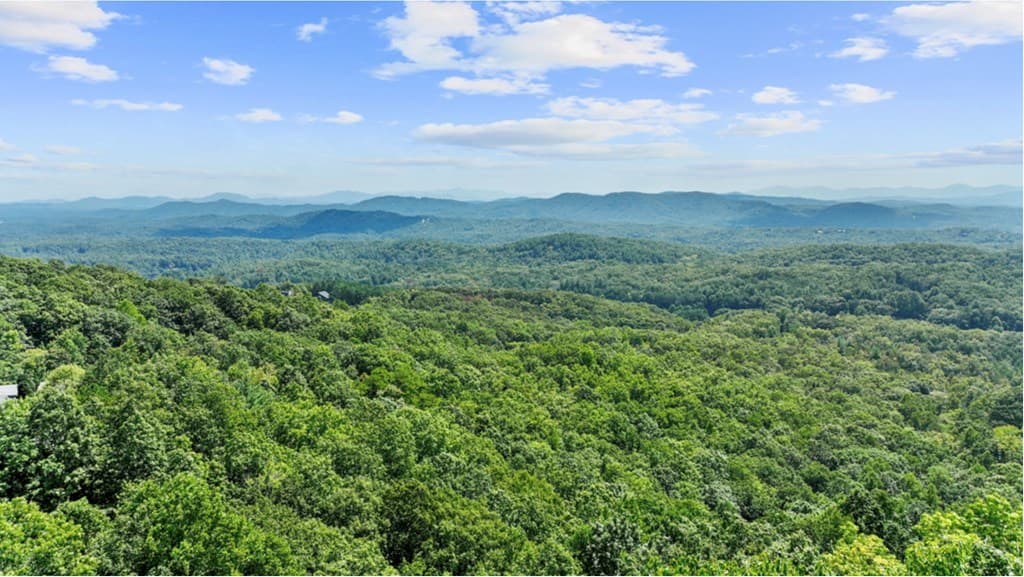 279 Rising Star Lane, Mineral Bluff GA 30559 - Photo