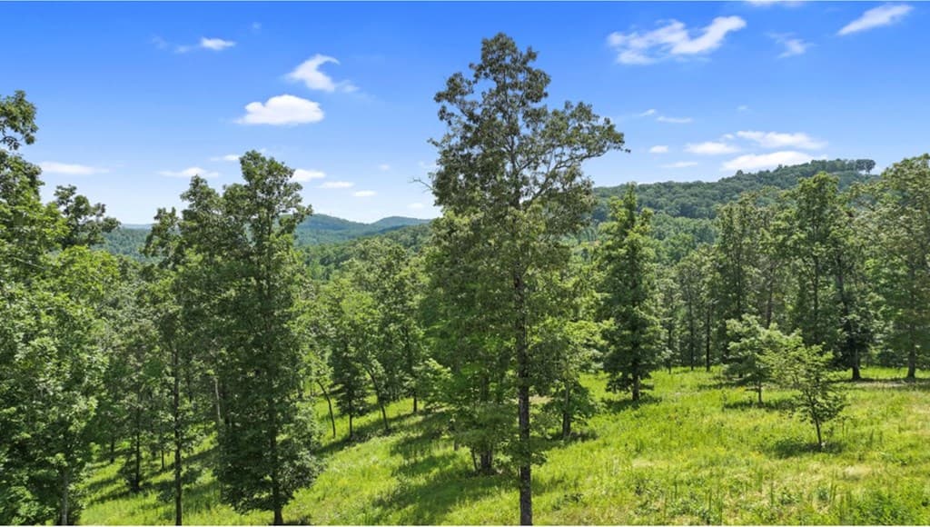 LT 11 Haven Way, Blue Ridge GA 30513 - Photo