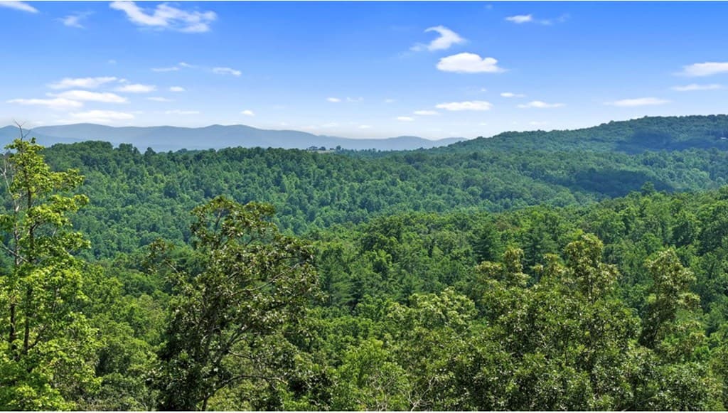 LT 11 Haven Way, Blue Ridge GA 30513 - Photo