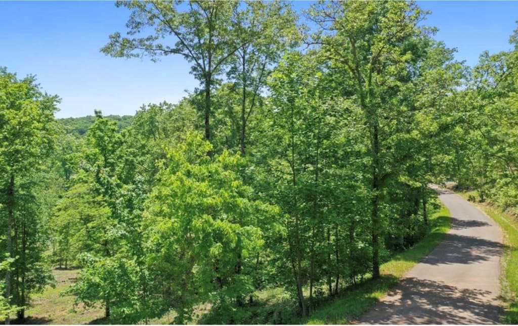 LT 11 Haven Way, Blue Ridge GA 30513 - Photo