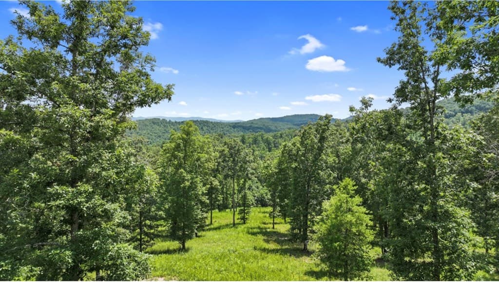 LT 11 Haven Way, Blue Ridge GA 30513 - Photo