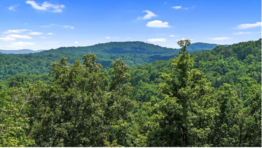 LT 11 Haven Way, Blue Ridge GA 30513 - Photo