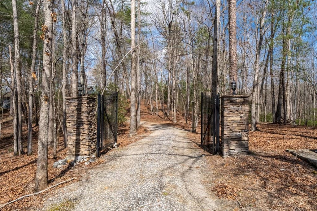 858 River Forest Run, Cleveland GA 30528 - Photo