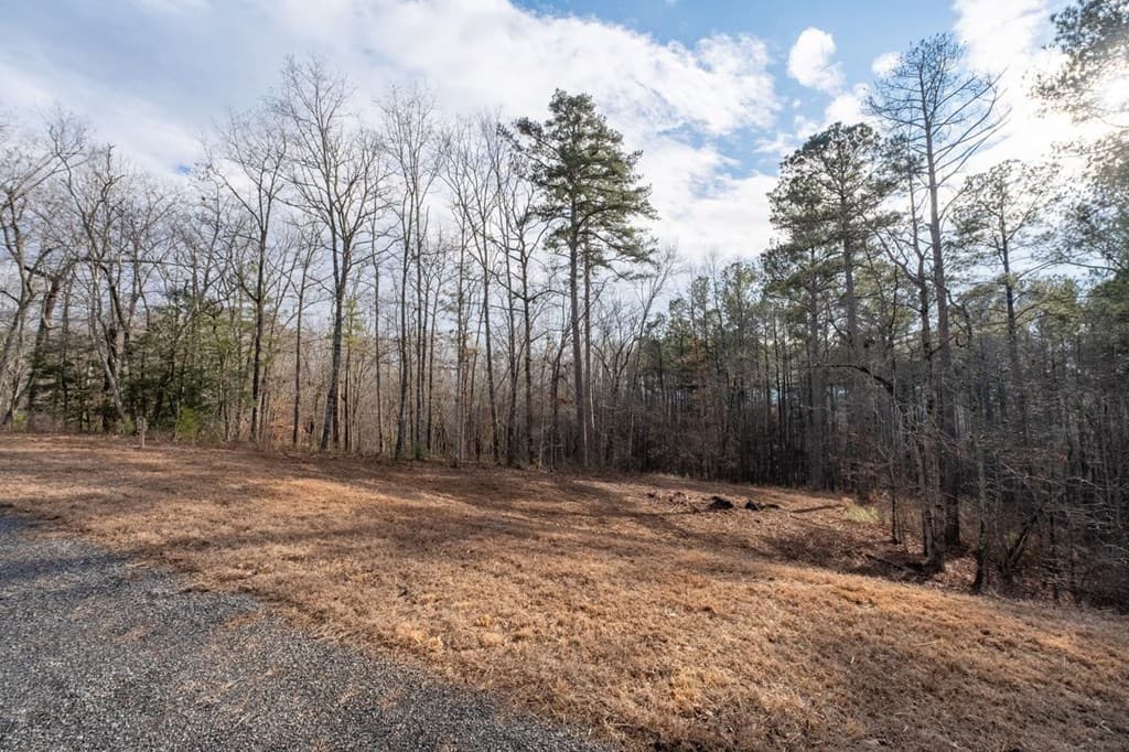 0 Freestone Street, Talking Rock GA 30175 - Photo