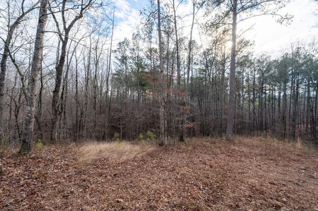 0 Freestone Street, Talking Rock GA 30175 - Photo