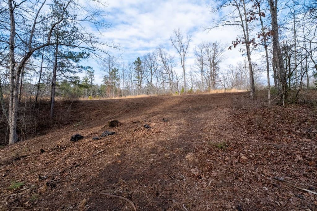 0 Freestone Street, Talking Rock GA 30175 - Photo