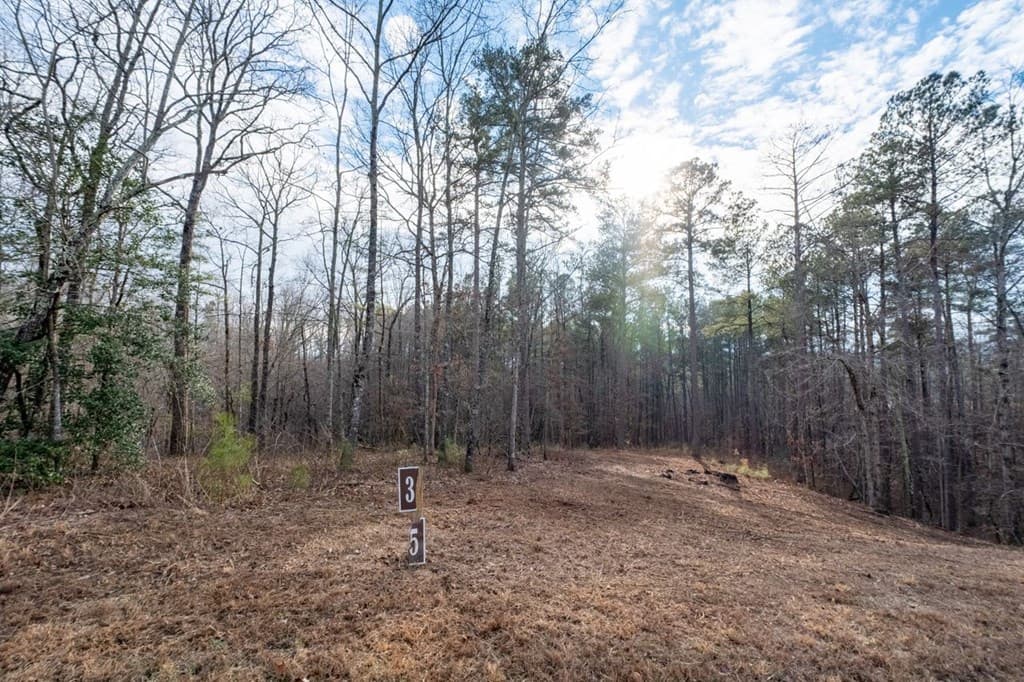 0 Freestone Street, Talking Rock GA 30175 - Photo