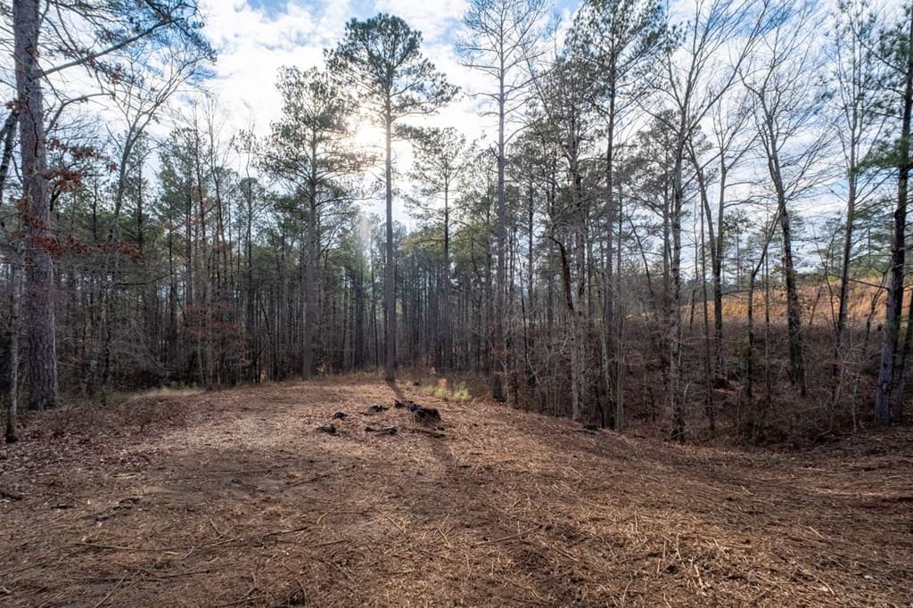 0 Freestone Street, Talking Rock GA 30175 - Photo