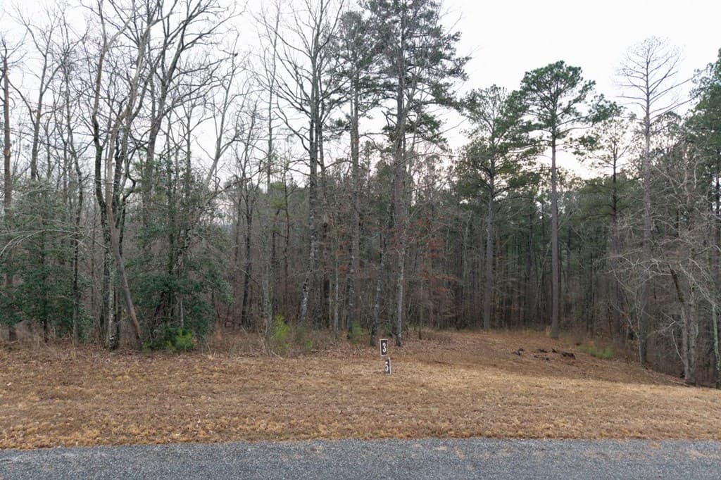0 Freestone Street, Talking Rock GA 30175 - Photo