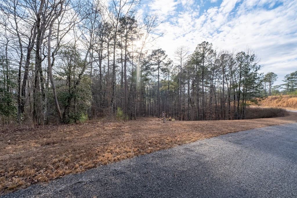 0 Freestone Street, Talking Rock GA 30175 - Photo