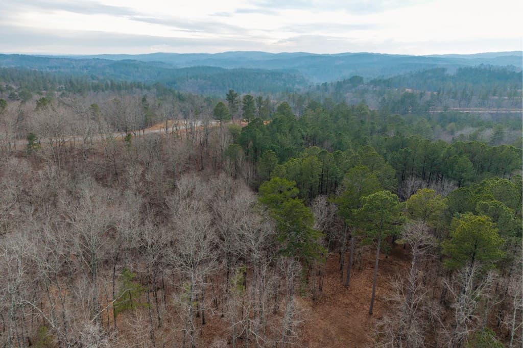 0 Freestone Street, Talking Rock GA 30175 - Photo