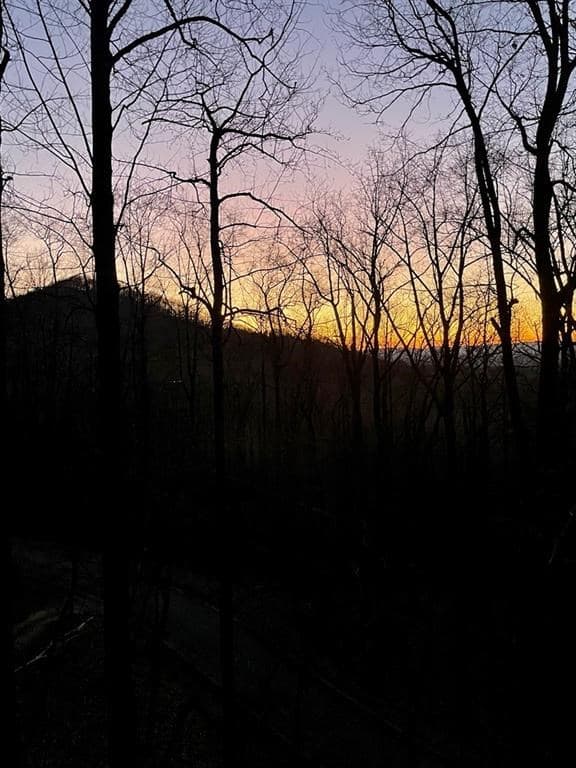 947 Skyview Drive, Ellijay GA 30536 - Photo