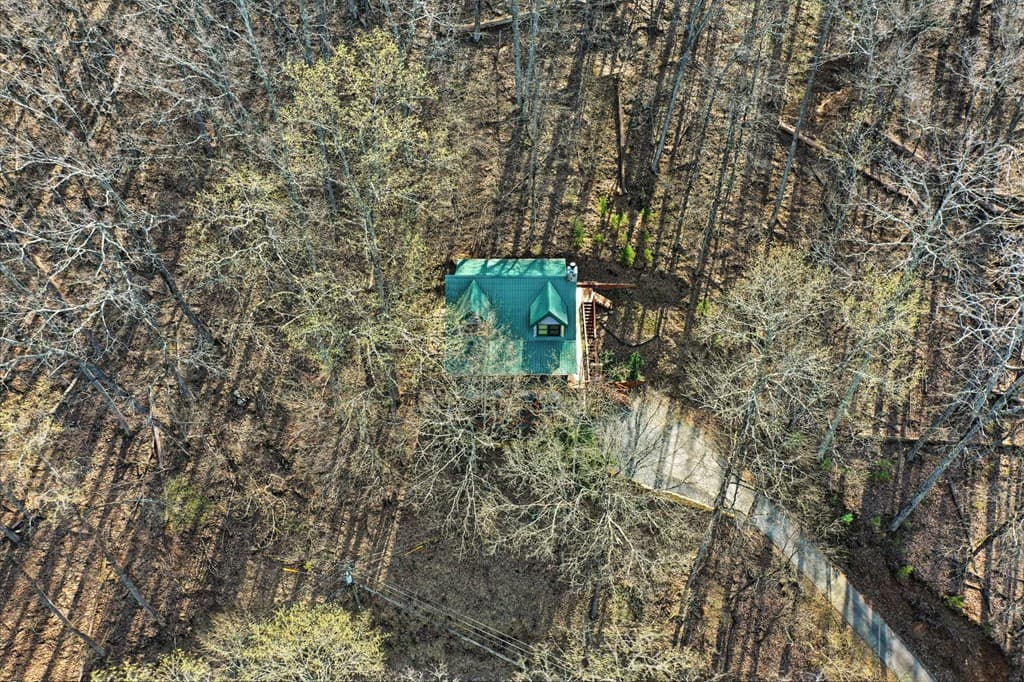 947 Skyview Drive, Ellijay GA 30536 - Photo