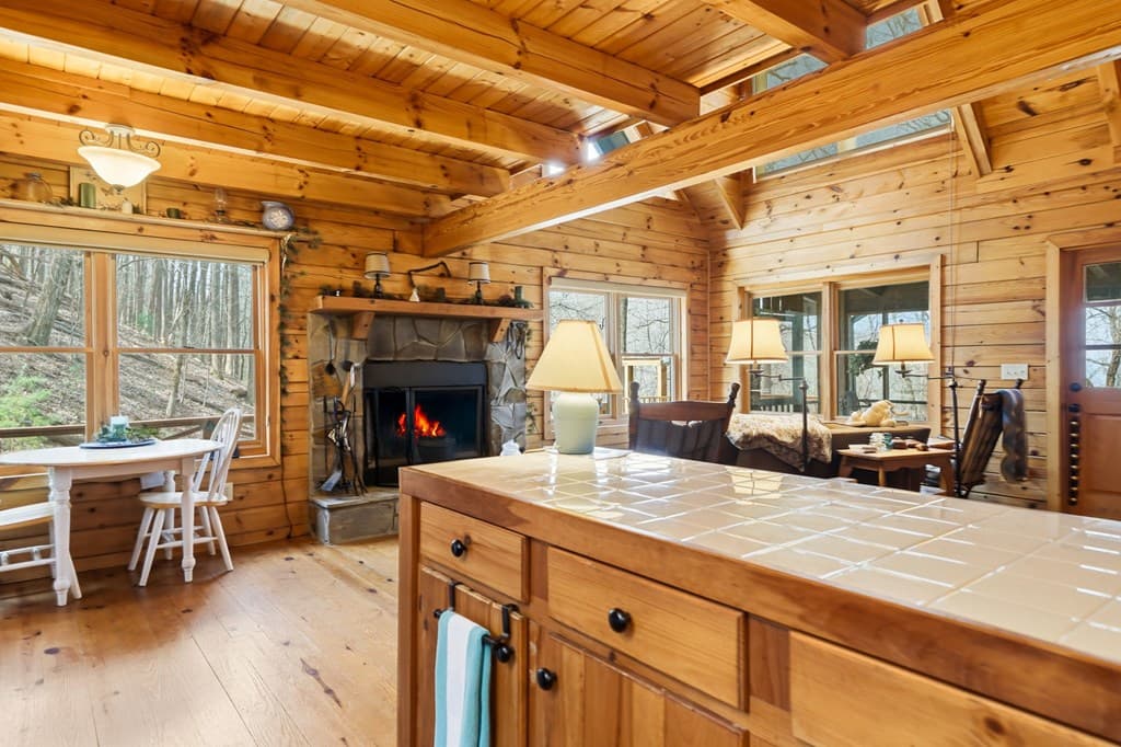 947 Skyview Drive, Ellijay GA 30536 - Photo