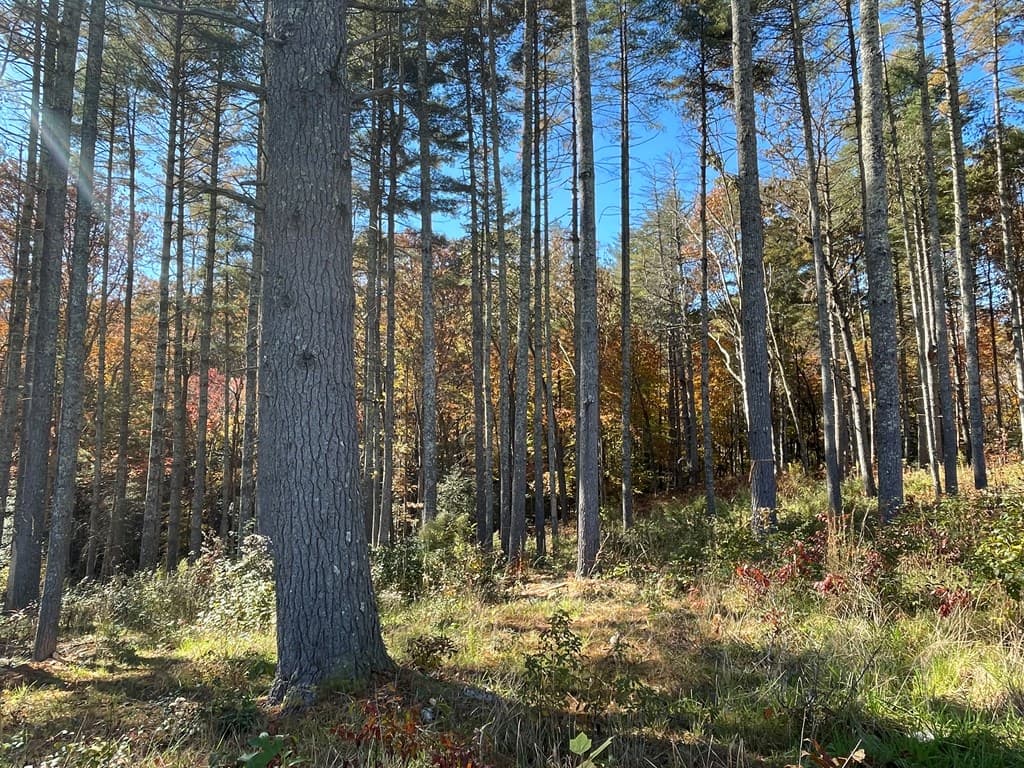 Lot 173 Highland Park, Blairsville GA 30512 - Photo