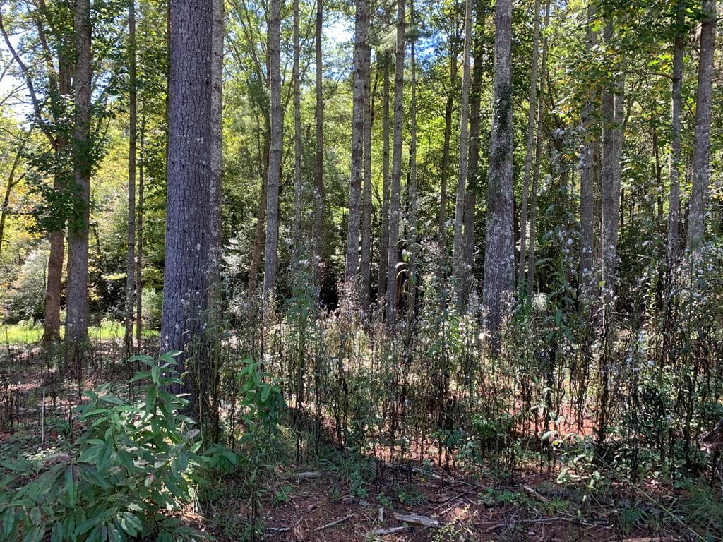 Lot 173 Highland Park, Blairsville GA 30512 - Photo