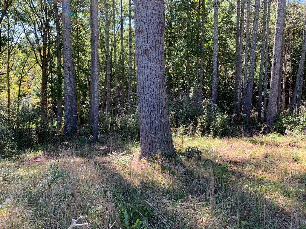 Lot 173 Highland Park, Blairsville GA 30512 - Photo